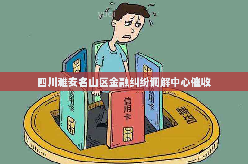 四川雅安名山区金融纠纷调解中心