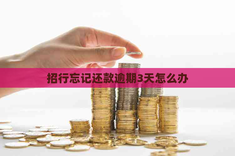 招行忘记还款逾期3天怎么办