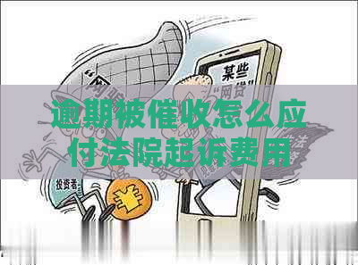 逾期被怎么应付法院起诉费用