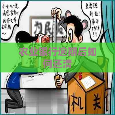 农业银行逾期后如何还清