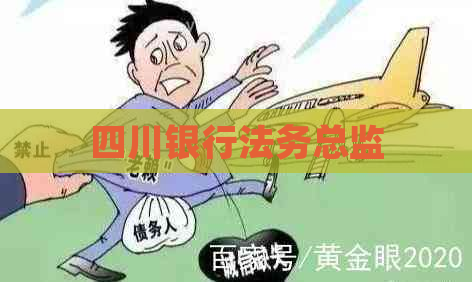 四川银行法务总监