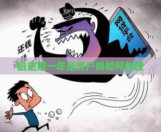 融逾期一年是黑户吗如何处理