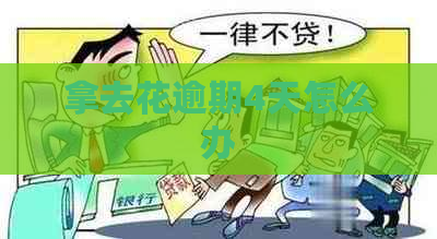 拿去花逾期4天怎么办