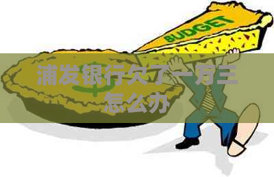 浦发银行欠了一万三怎么办