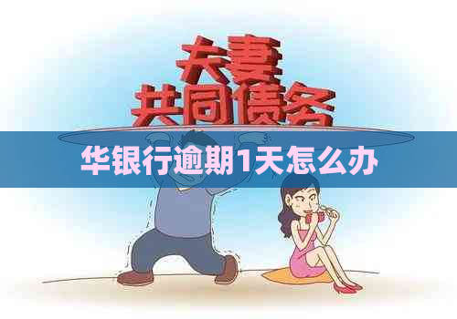 华银行逾期1天怎么办