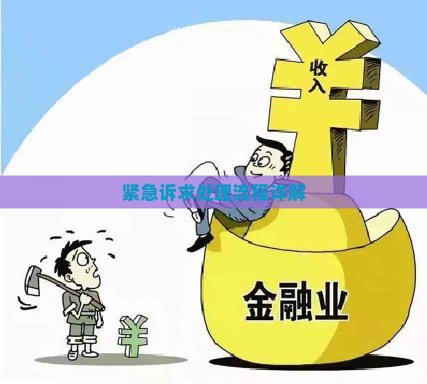 紧急诉求处理流程详解