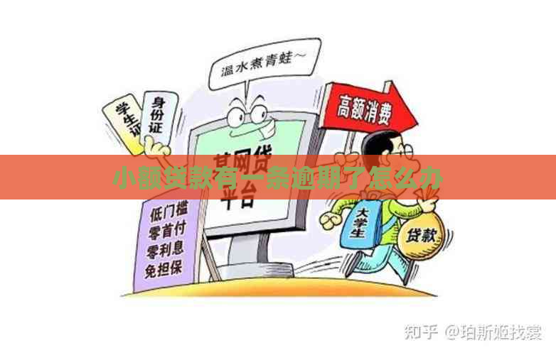小额贷款有一条逾期了怎么办