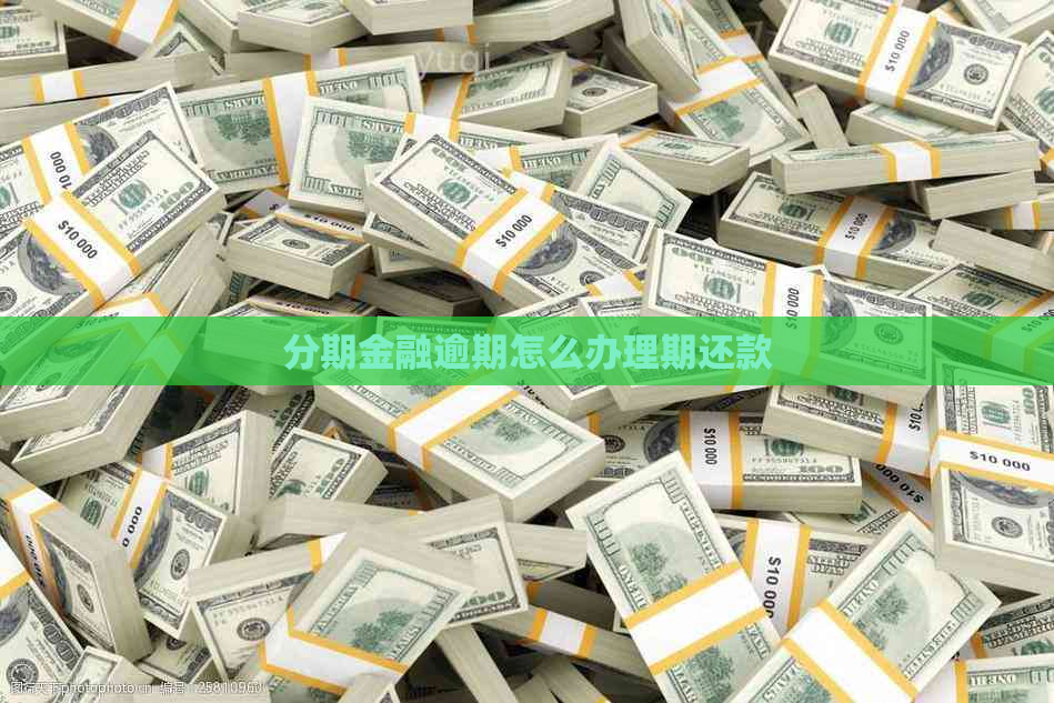 分期金融逾期怎么办理期还款