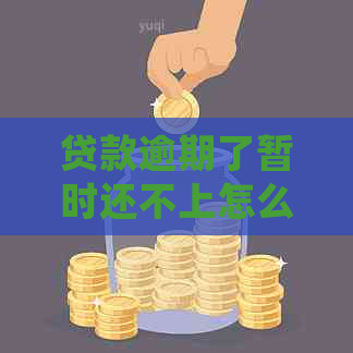 贷款逾期了暂时还不上怎么办处理办法