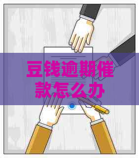 豆钱逾期催款怎么办