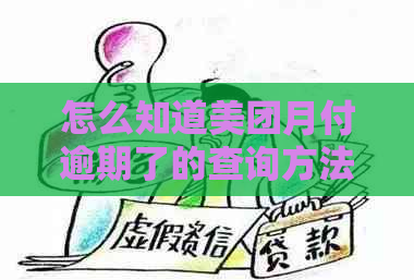 怎么知道美团月付逾期了的查询方法