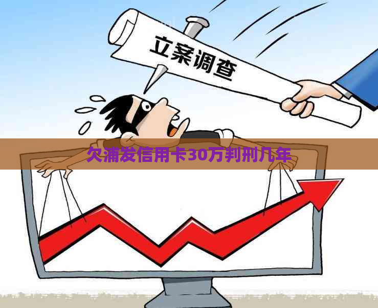 欠浦发信用卡30万判刑几年