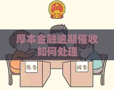 厚本金融逾期如何处理