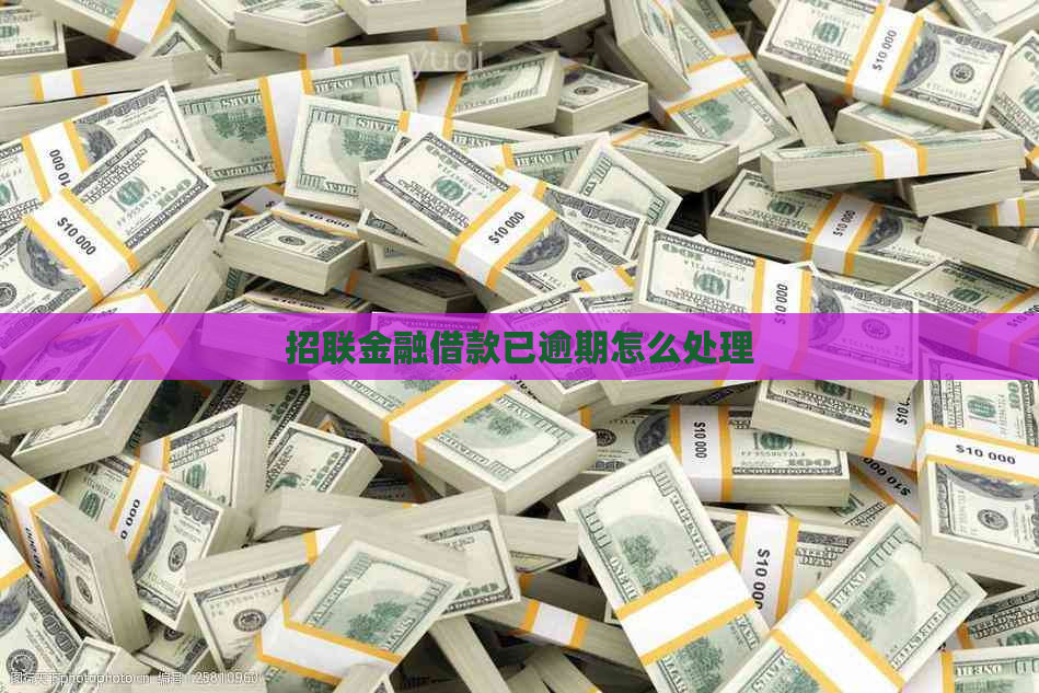 招联金融借款已逾期怎么处理