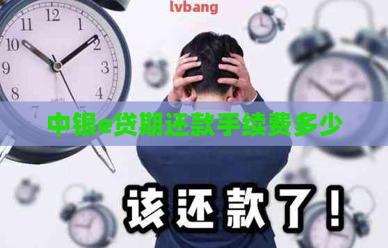 中银e贷期还款手续费多少