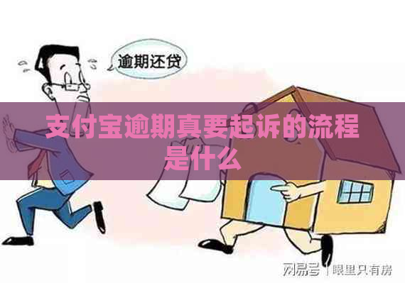 支付宝逾期真要起诉的流程是什么