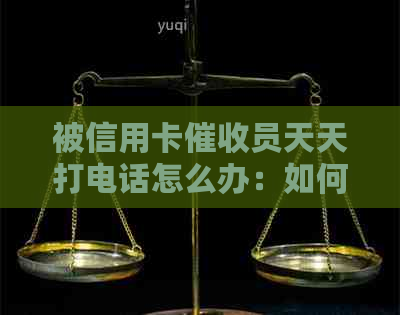 被信用卡员天天打电话怎么办：如何应对频繁的电话？