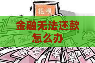 金融无法还款怎么办