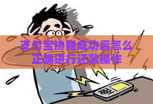 支付宝协商成功后怎么正确进行还款操作