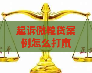 起诉微粒贷案例怎么打赢