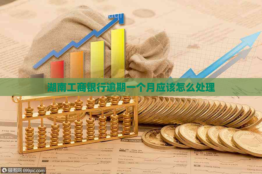 湖南工商银行逾期一个月应该怎么处理