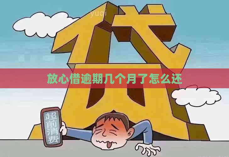 放心借逾期几个月了怎么还