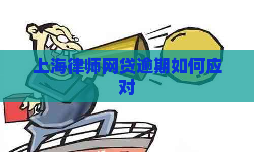 上海律师网贷逾期如何应对