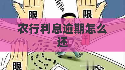 农行利息逾期怎么还