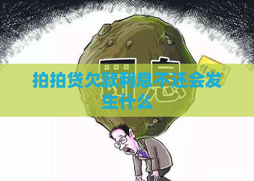 欠款利息不还会发生什么