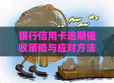 银行信用卡逾期策略与应对方法