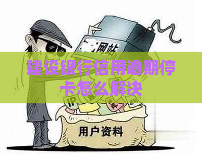 建设银行信用逾期停卡怎么解决