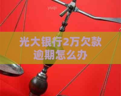 光大银行2万欠款逾期怎么办
