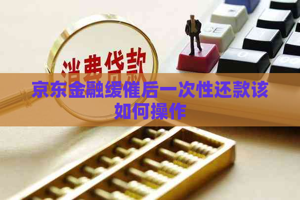 京东金融缓催后一次性还款该如何操作