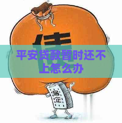 平安贷款暂时还不上怎么办