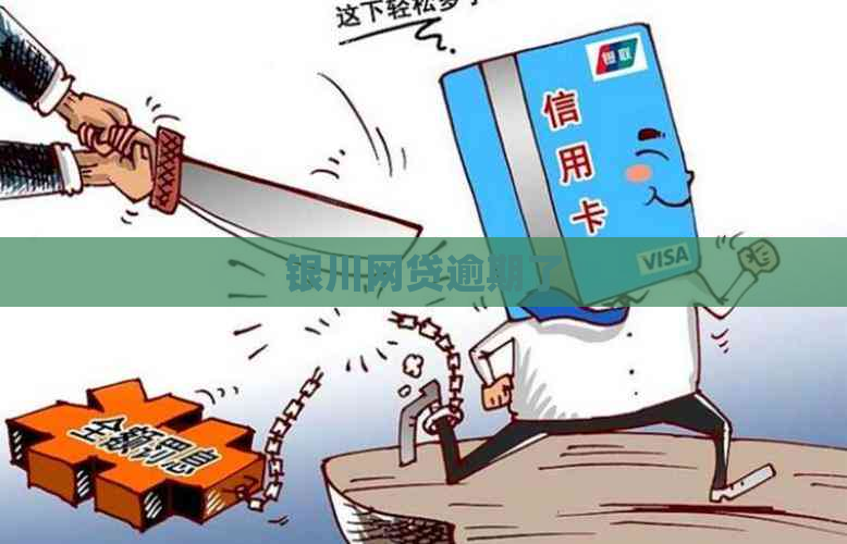 银川网贷逾期了