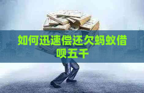 如何迅速偿还欠蚂蚁借呗五千