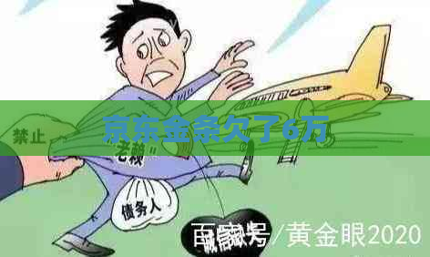 京东金条欠了6万