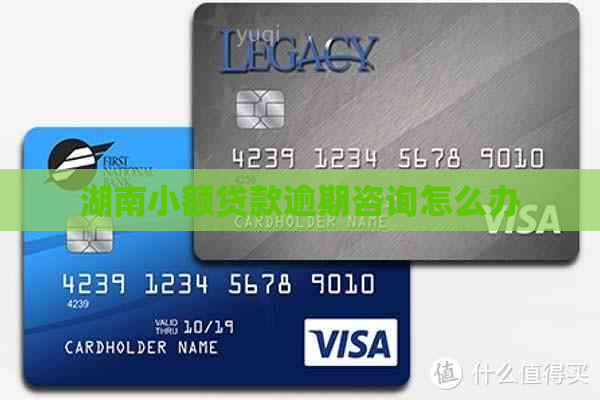 湖南小额贷款逾期咨询怎么办