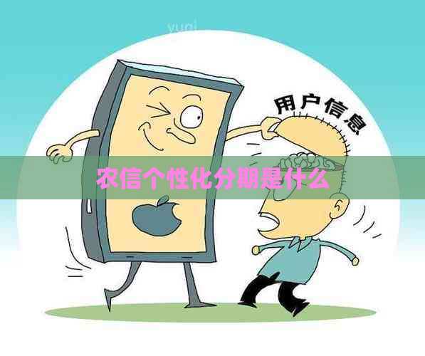农信个性化分期是什么