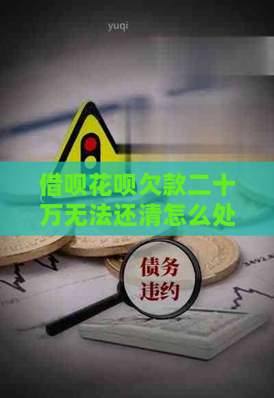 借呗花呗欠款二十万无法还清怎么处理