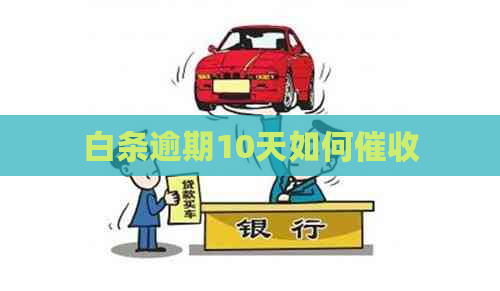 白条逾期10天如何