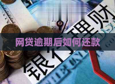 网贷逾期后如何还款