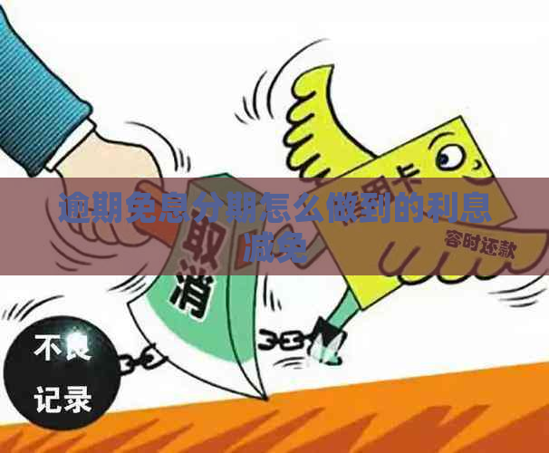 逾期免息分期怎么做到的利息减免