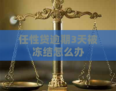 任性贷逾期3天被冻结怎么办