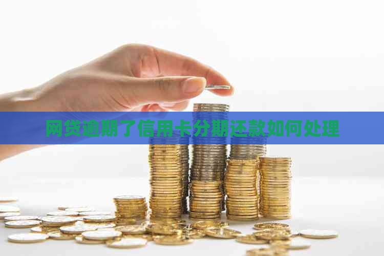 网贷逾期了信用卡分期还款如何处理