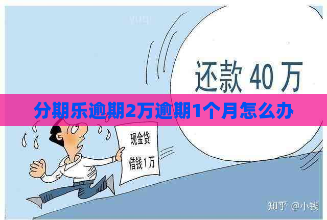 逾期2万逾期1个月怎么办