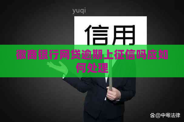徽商银行网贷逾期上吗应如何处理