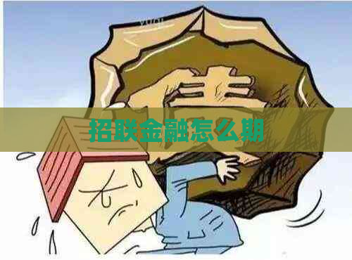 招联金融怎么期