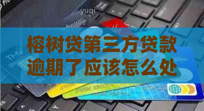 榕树贷第三方贷款逾期了应该怎么处理
