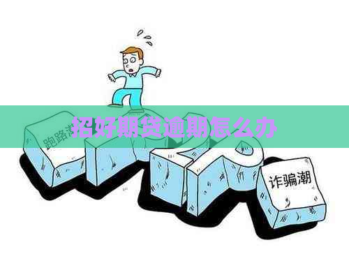 招好期贷逾期怎么办